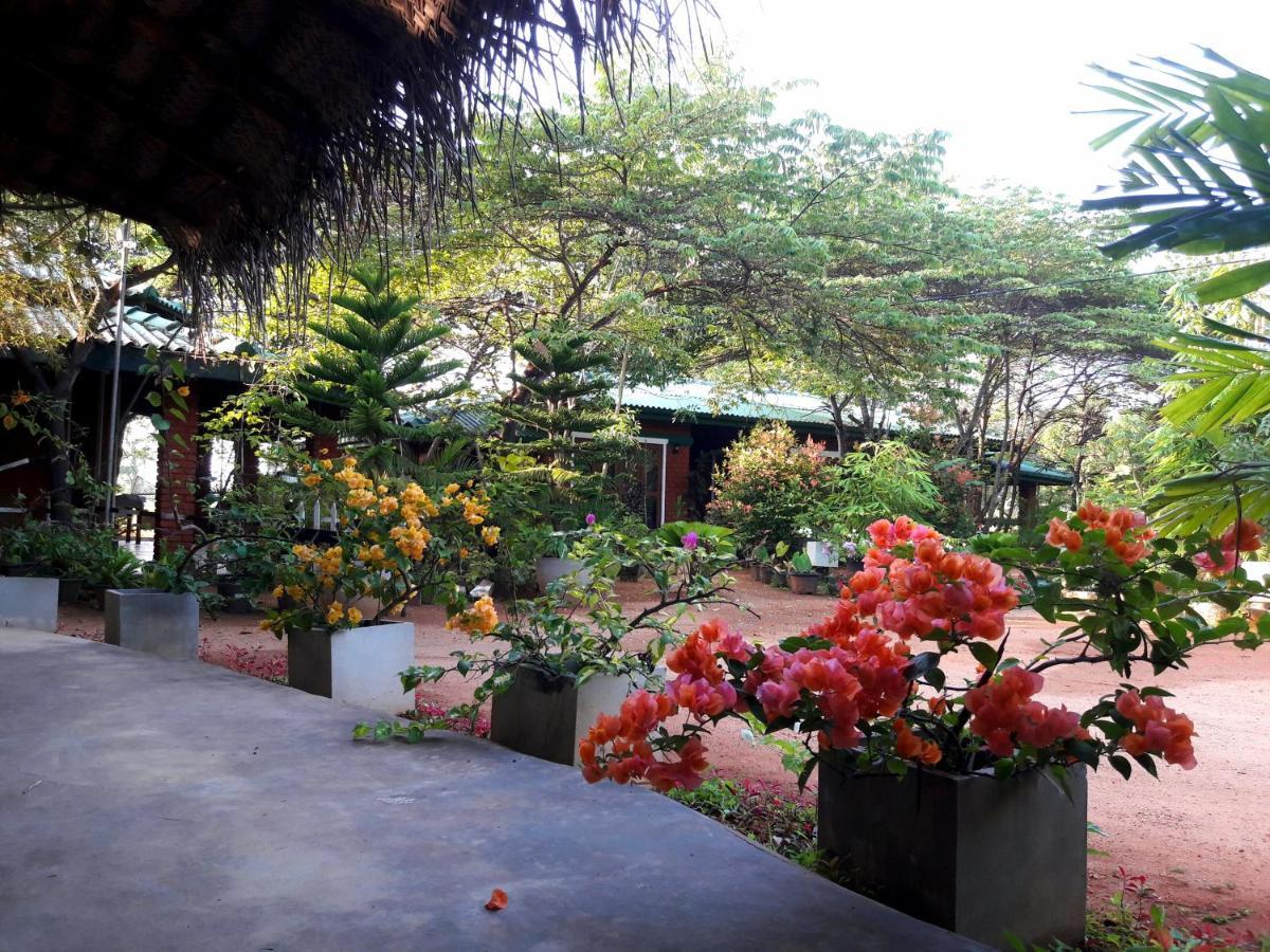 Sunshine Resort & Spa Sigiriya Eksteriør billede